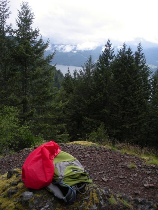 Wyeth viewpoint