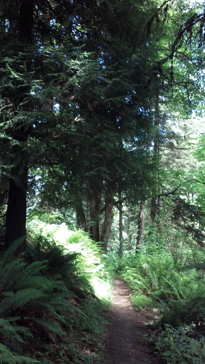 On the Chestnut Trail