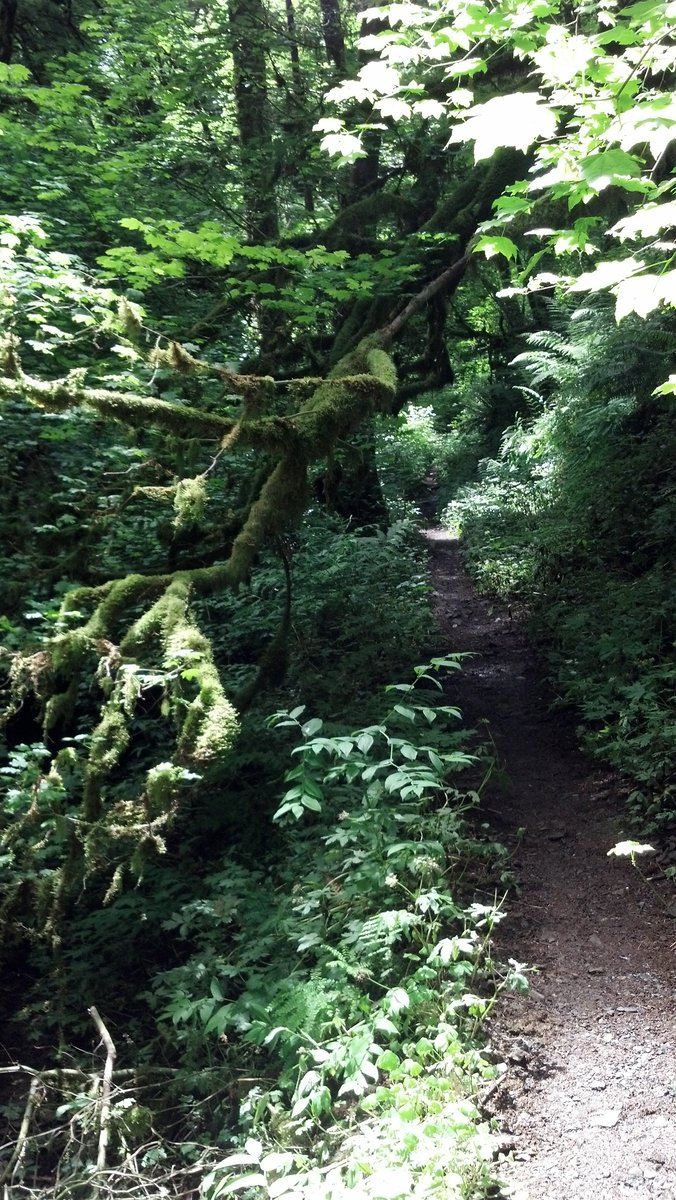 Chestnut Trail