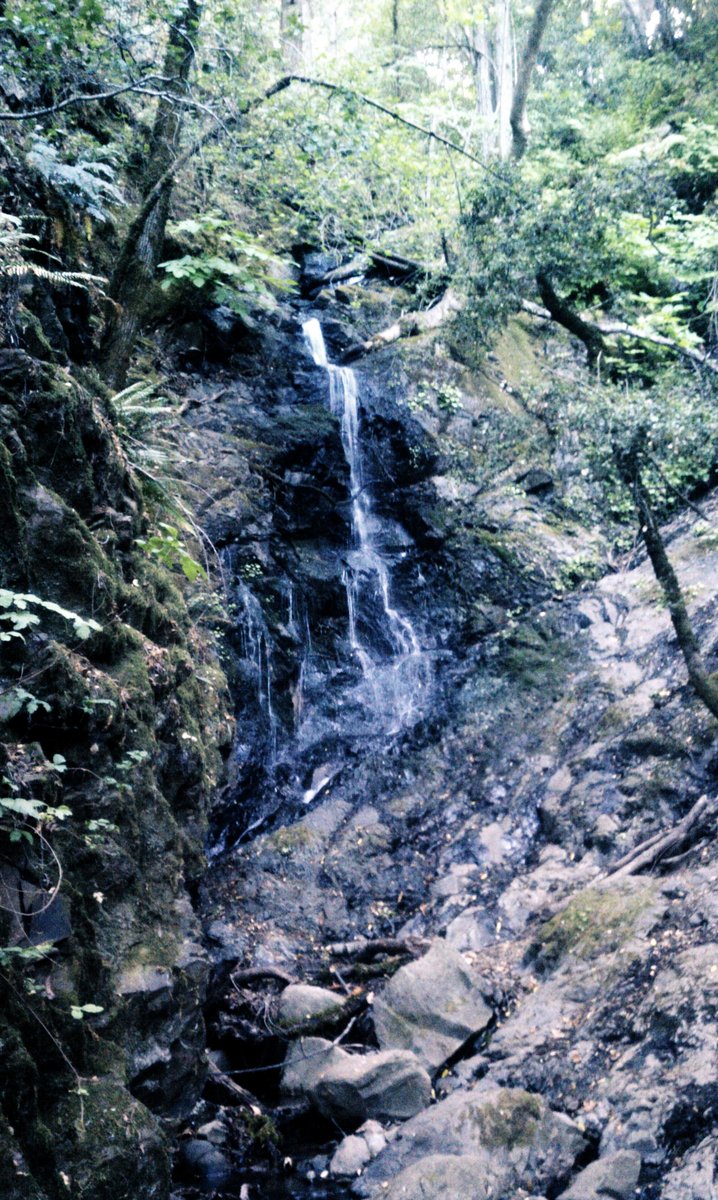 Smaller waterfall towards the end of the trip