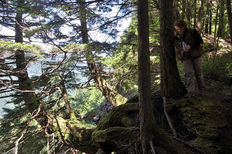 My mom near the ridge edge with hanging trees