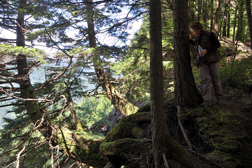 My mom near the ridge edge with hanging trees