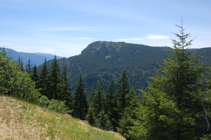Hamilton Mtn is close, but not close enough to see numerous hikers on the top