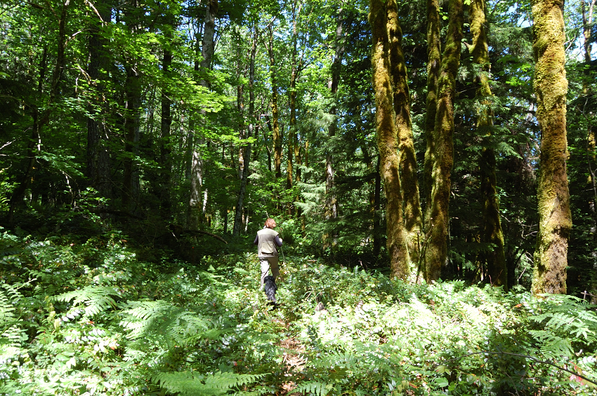 The trail north of Cedar is faint but not hard to follow.