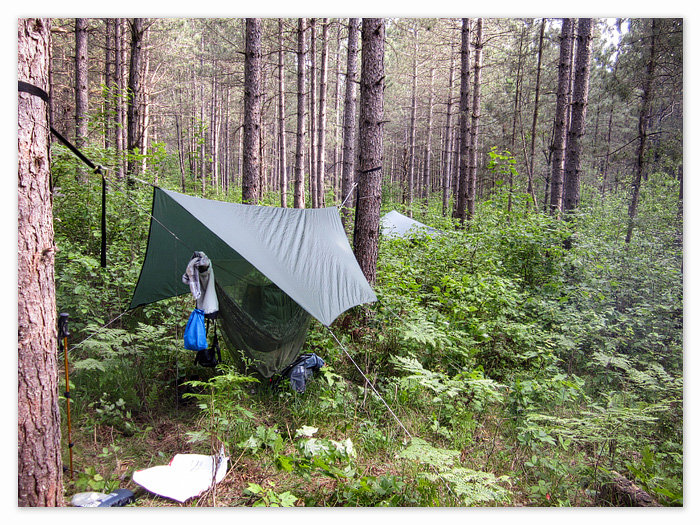 my hammock setup