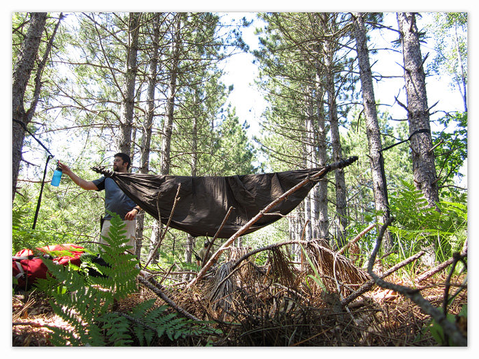 Cryothewild's hammock