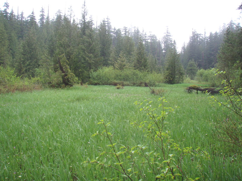 crater meadow