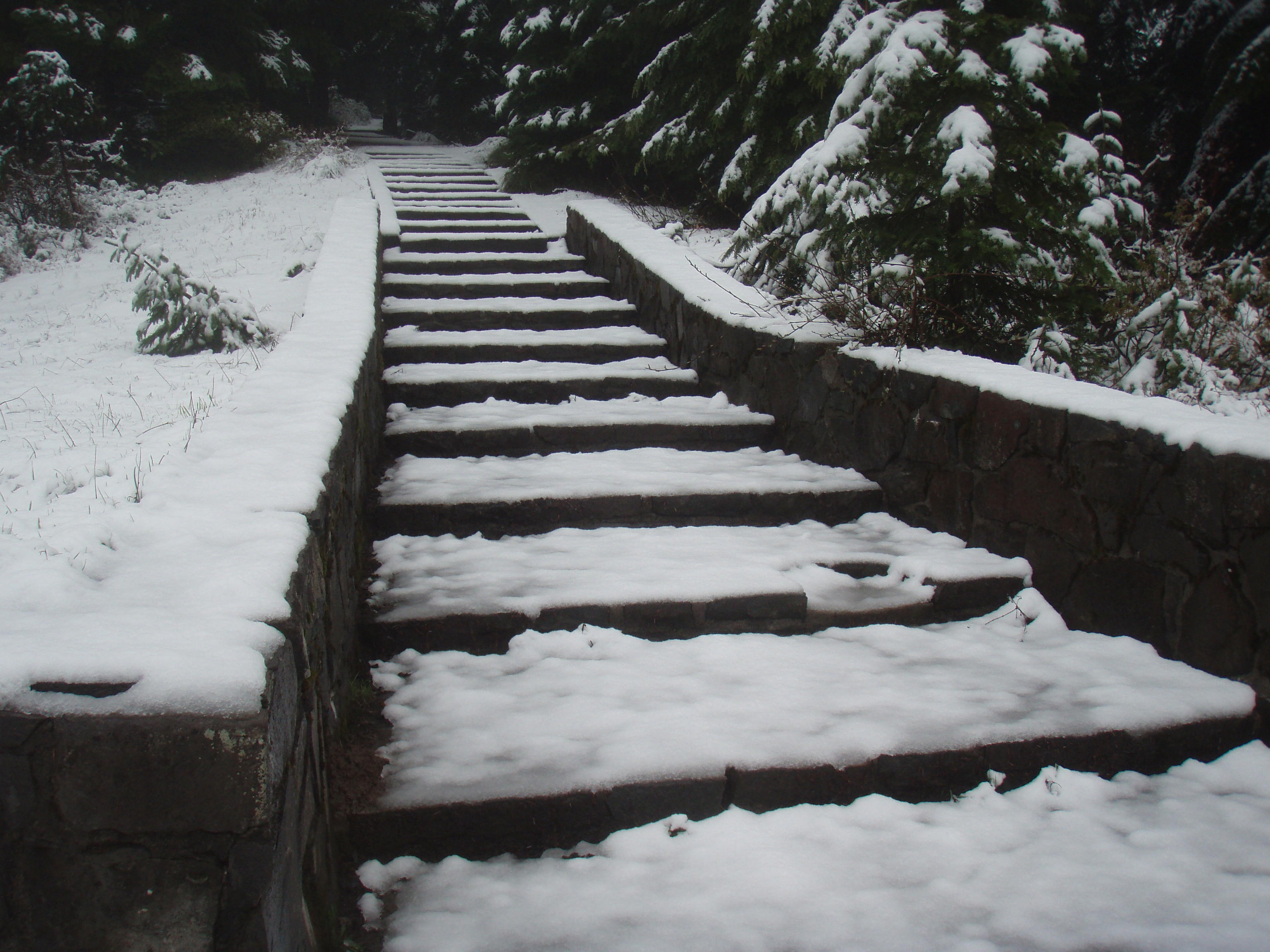 snowy steps to Sherard Point