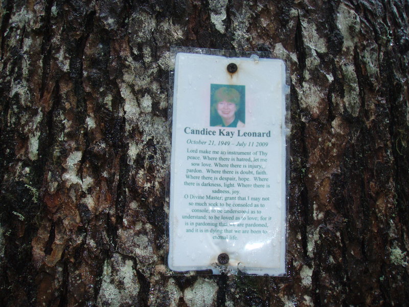 memorial on a tree