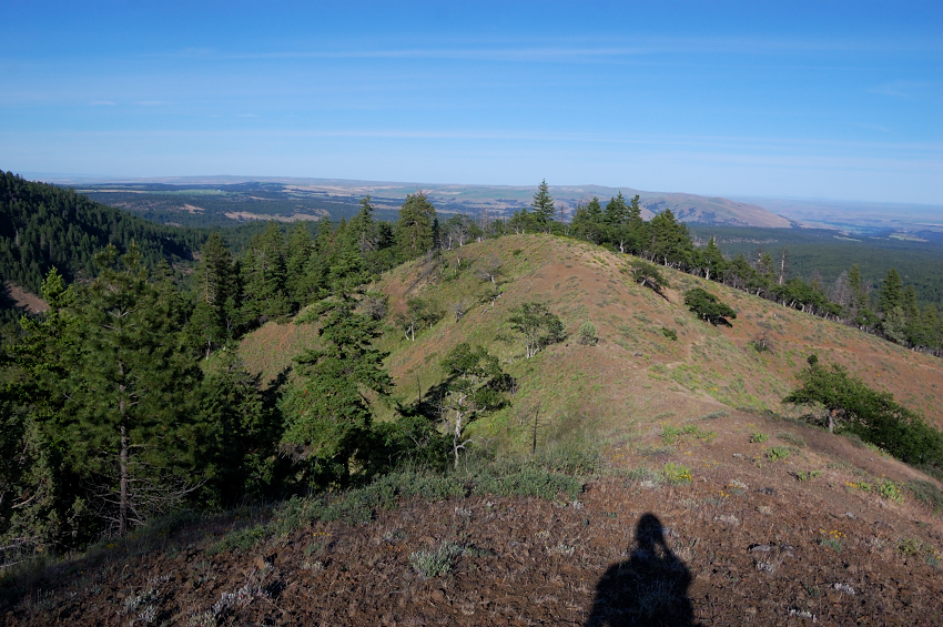 View from the saddle north of Ball Pt