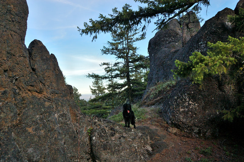 Of course we couldn't miss Rock Garden just below Helispot viewpoint