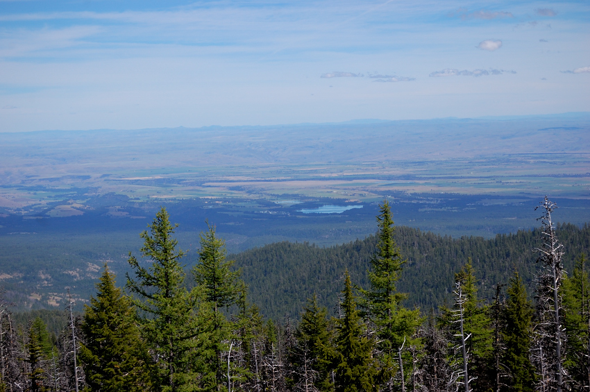 View east. High desert just starts to change from green to brown