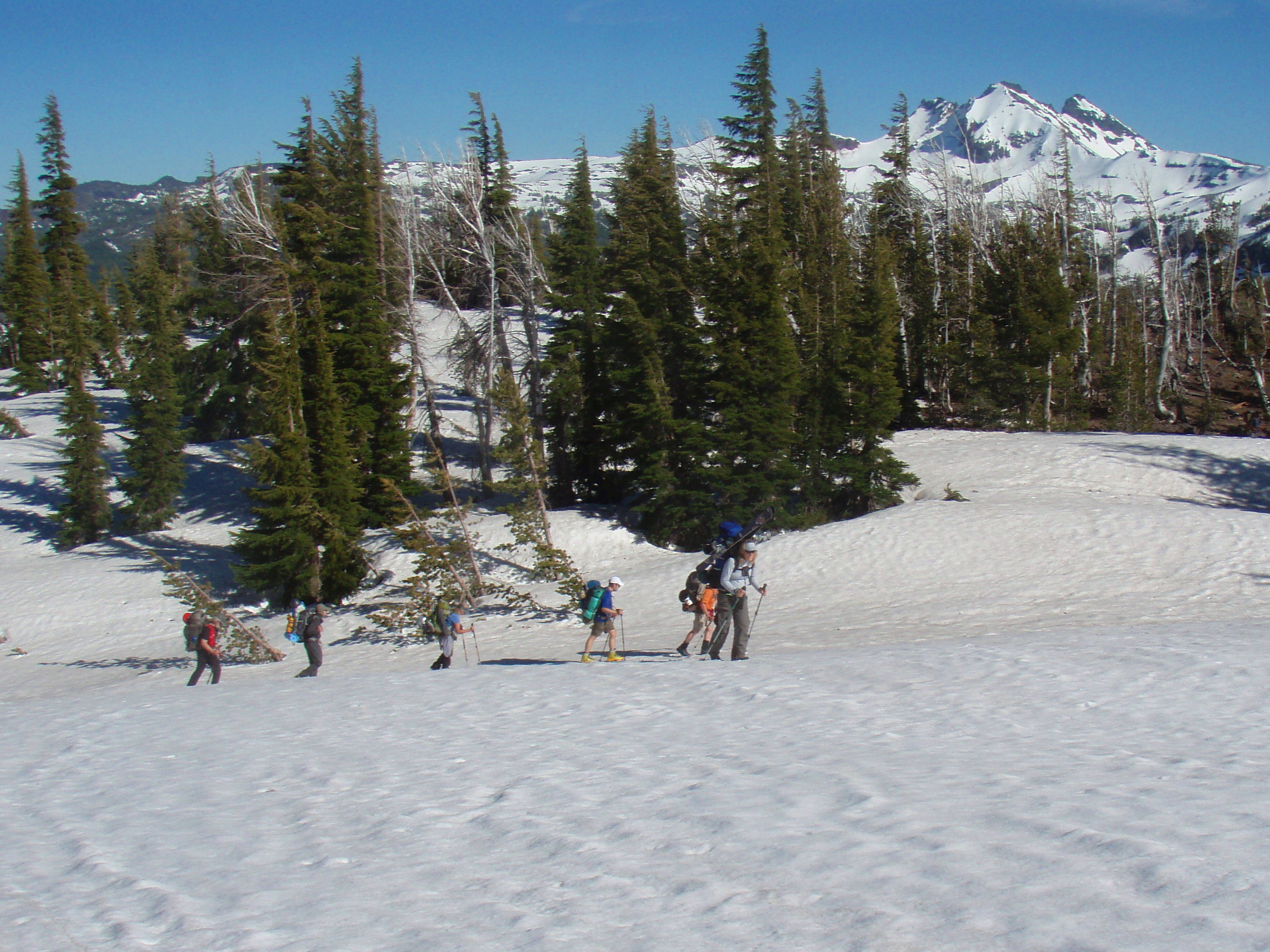 looking for camp