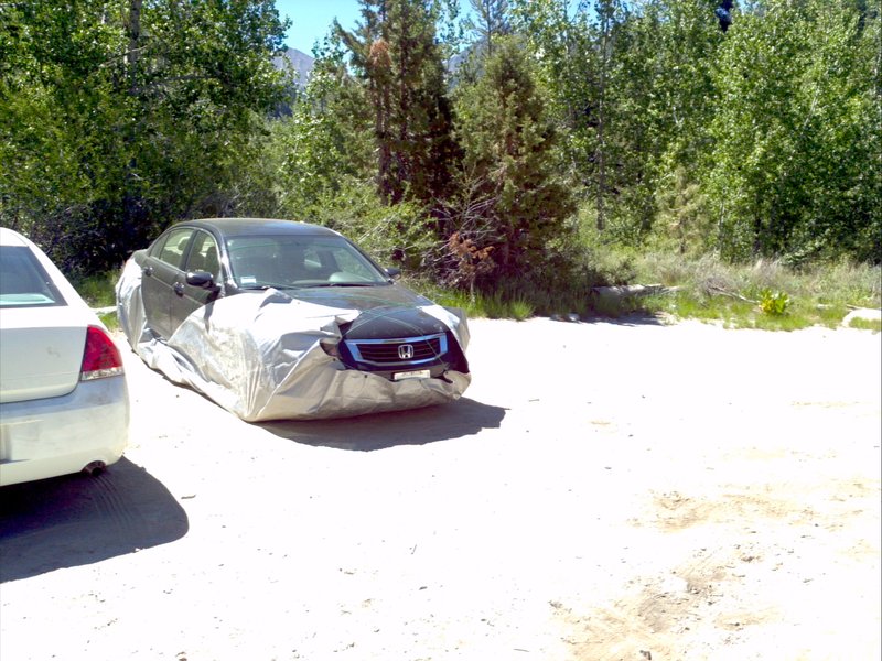 Someone's effort at avoiding car munching marmots