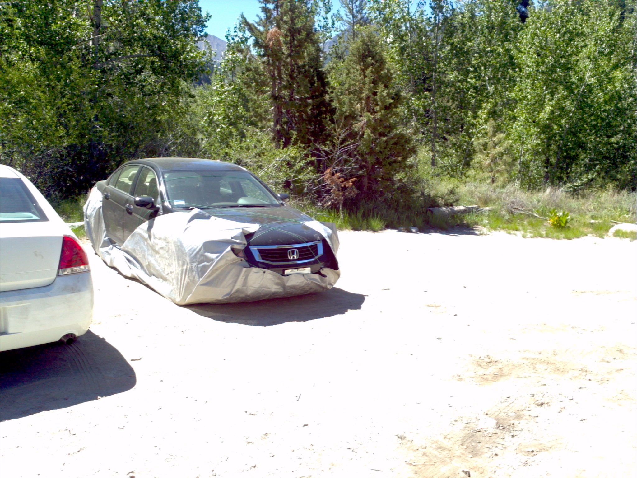 Someone's effort at avoiding car munching marmots
