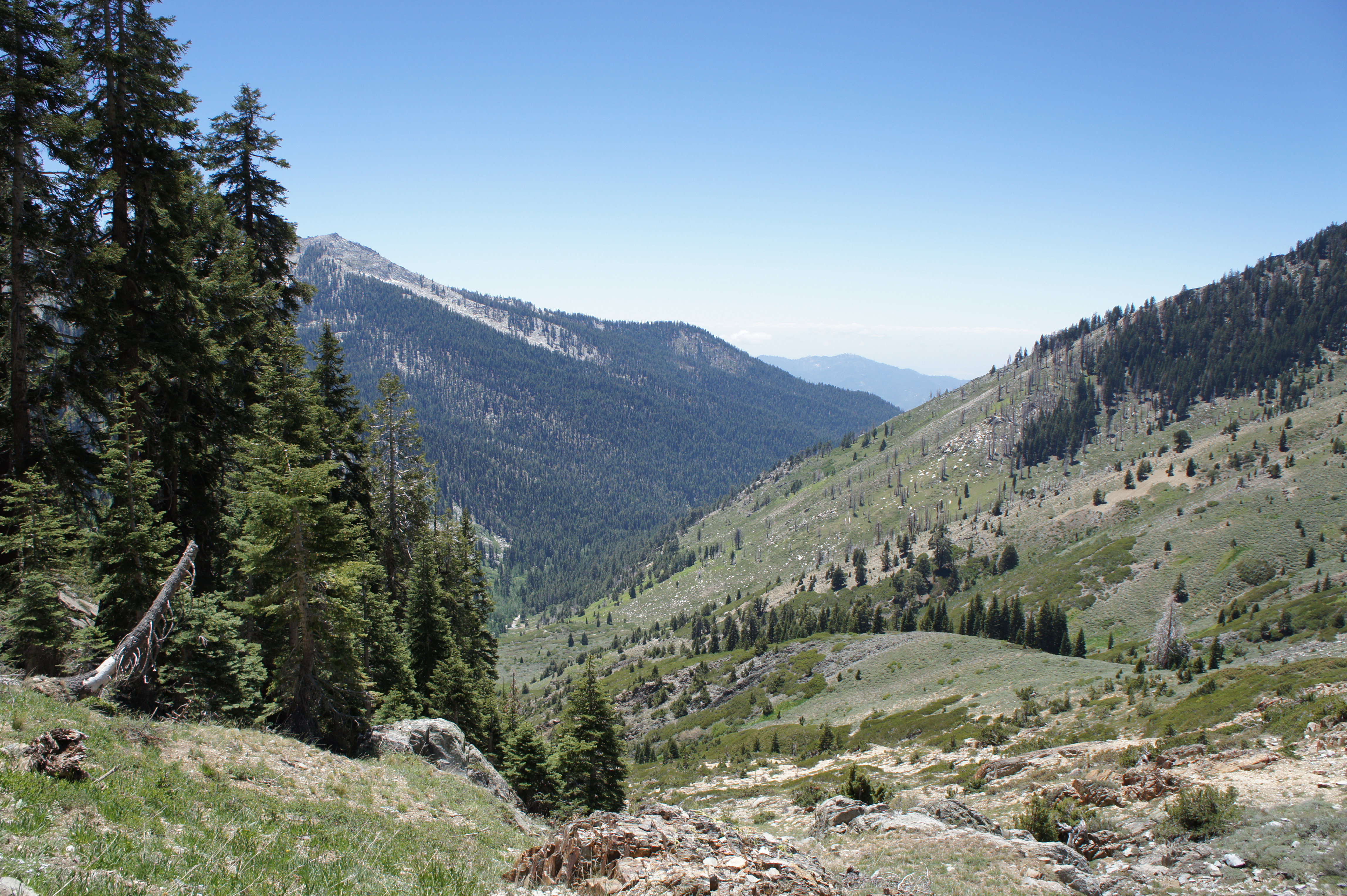 Looking down into Mineral King Valley