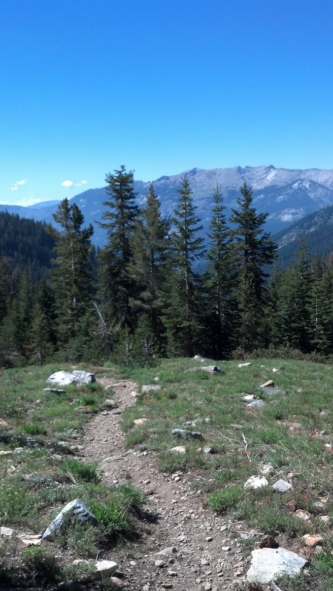 Meadow past Timber Gap