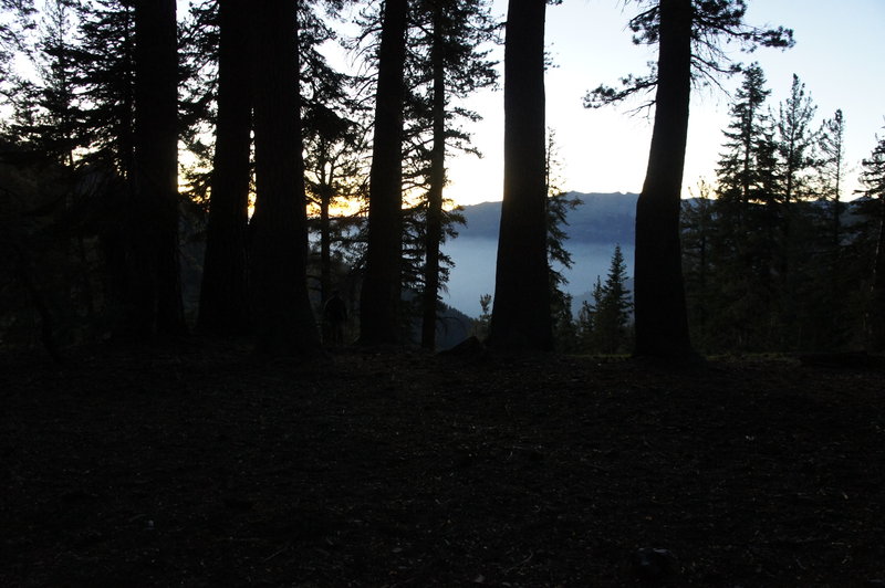 Dusk at Timber Gap
