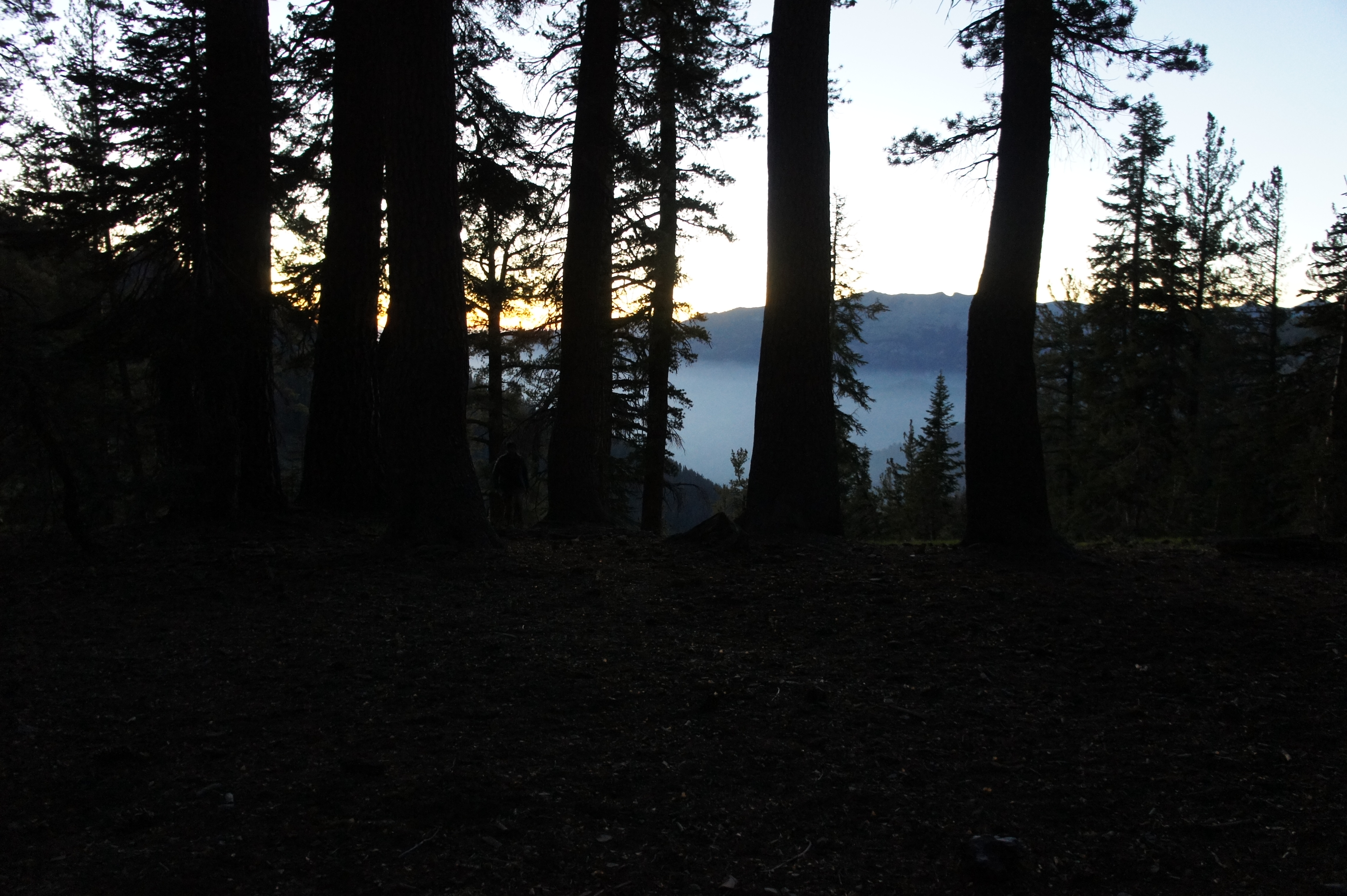 Dusk at Timber Gap