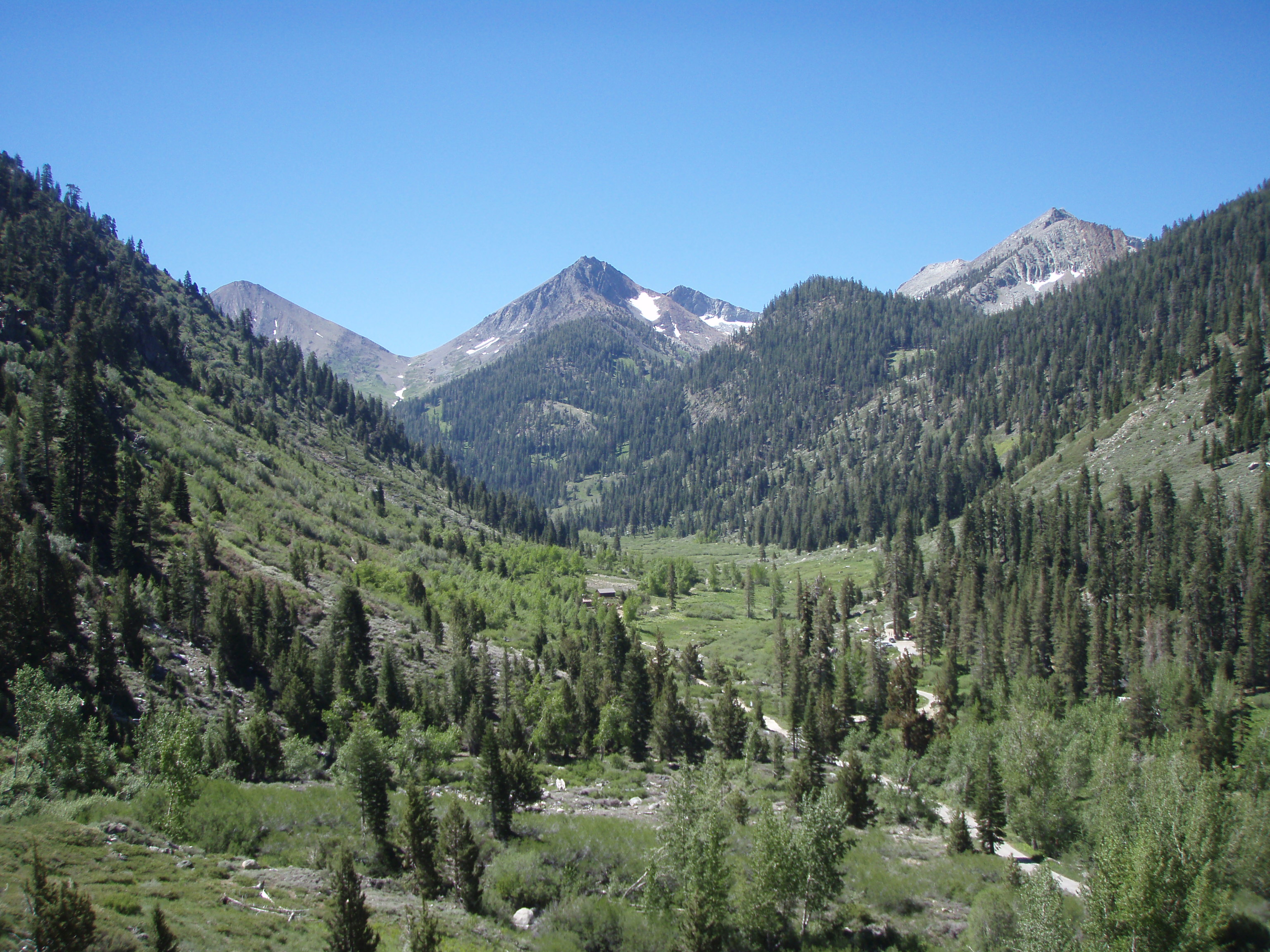 Mineral King Valley