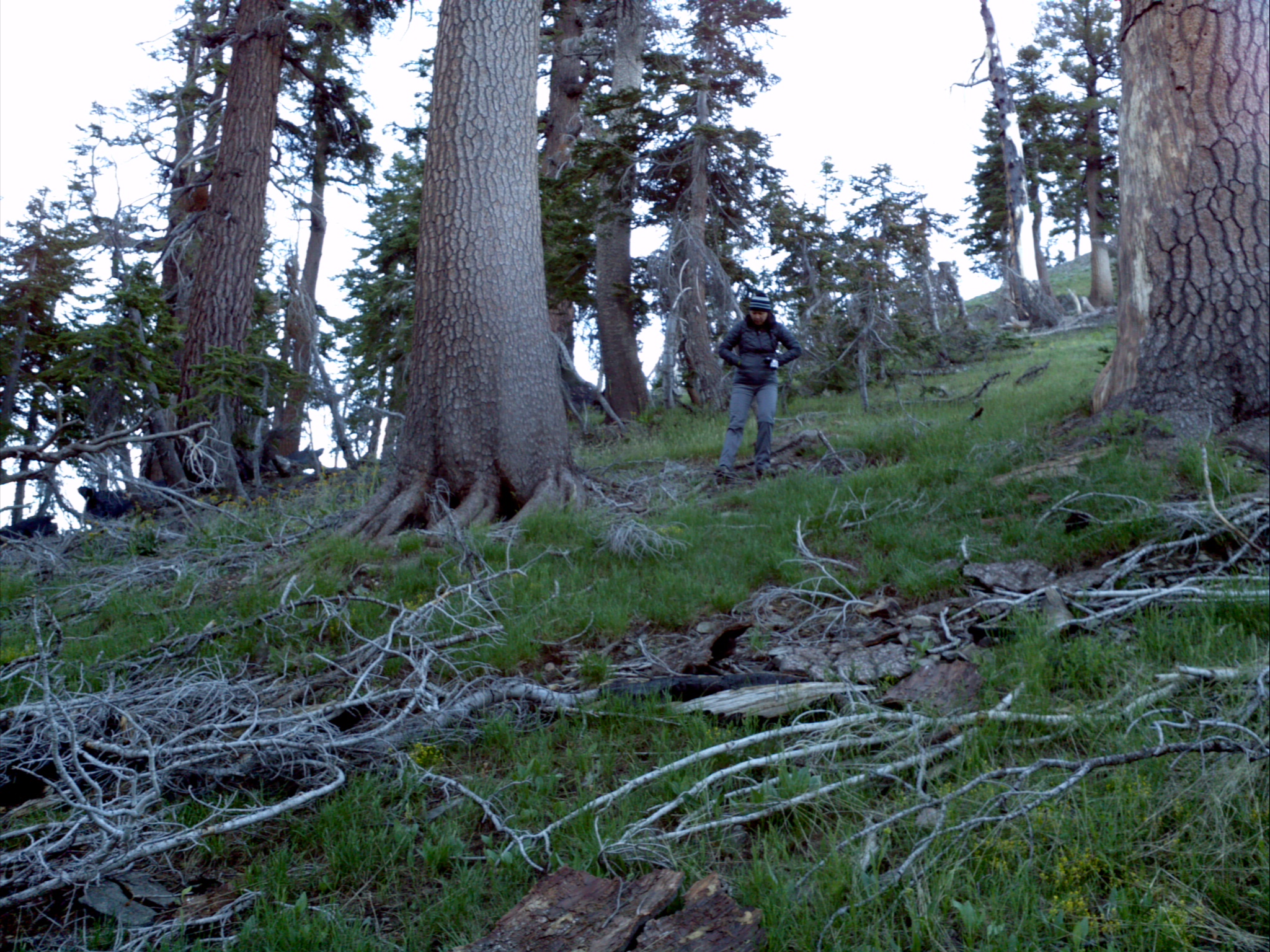 Heading down the ridge above camp