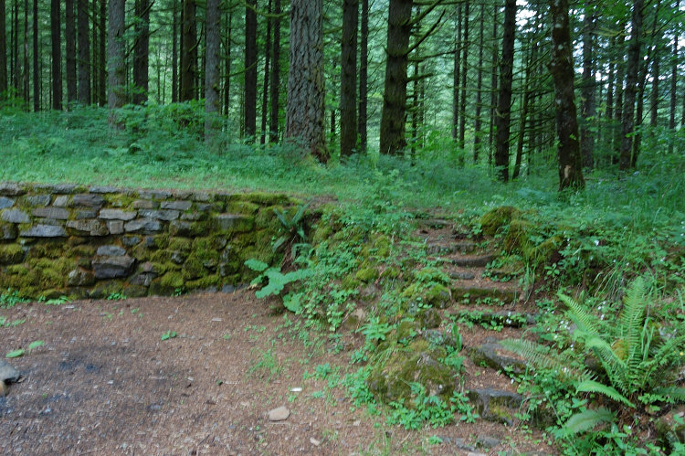 Old homestead