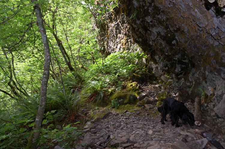 The terrain is so rugged there - the trail goes here under the rock, and 1/4 mile later you come at viewpoint (almost) directly overhead