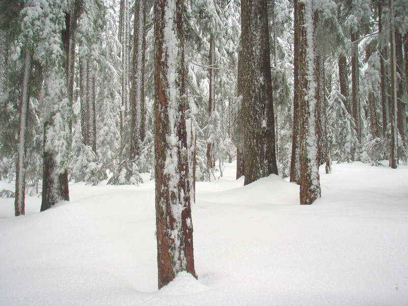 Benson Plateau