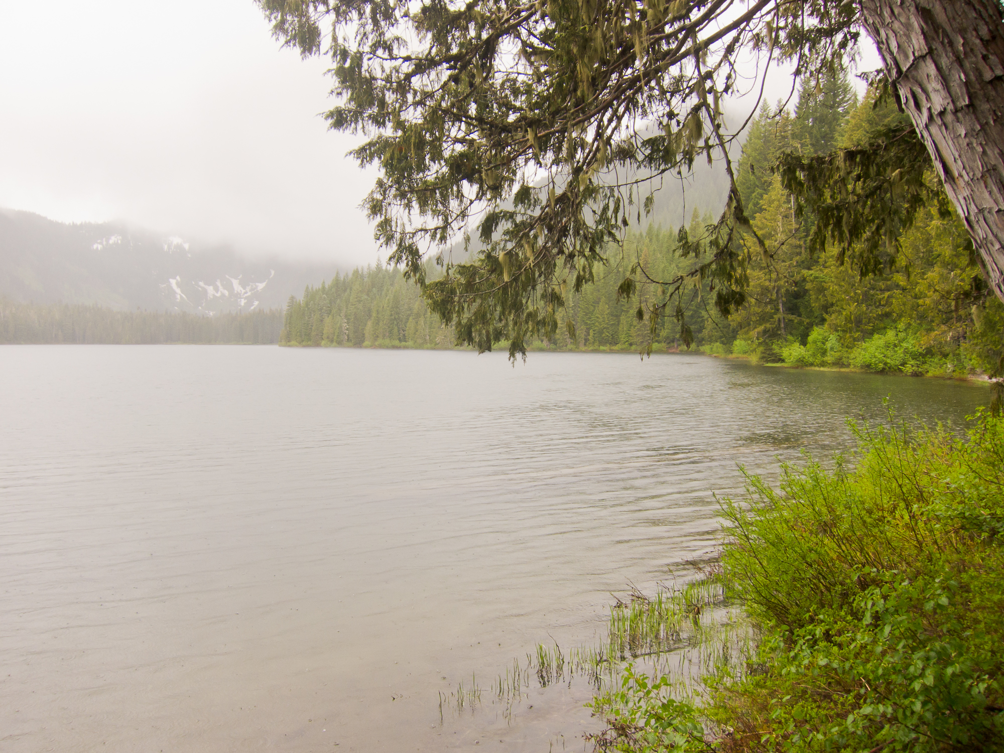 Scenic Elk Lake. Pouring rain.