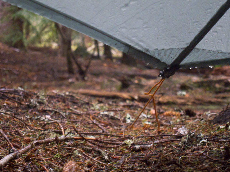 View from the tarp.
