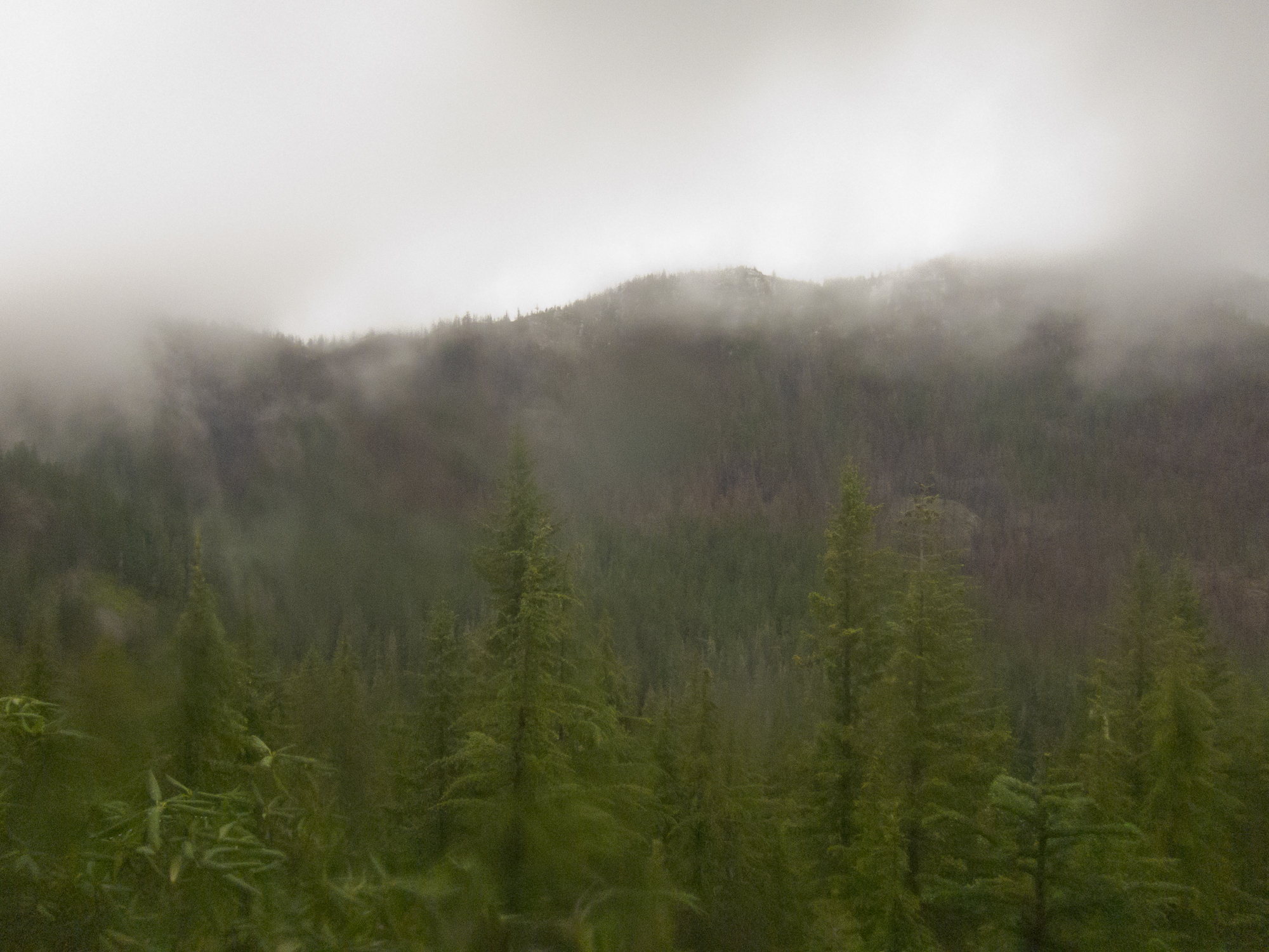 Twin Lakes basin. Rain.