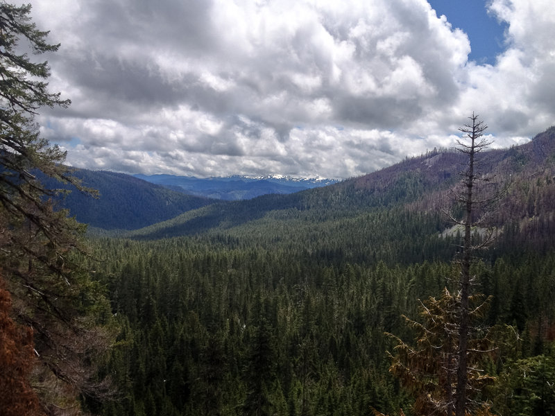 View of Mt Jefferson. Womp womp womp.