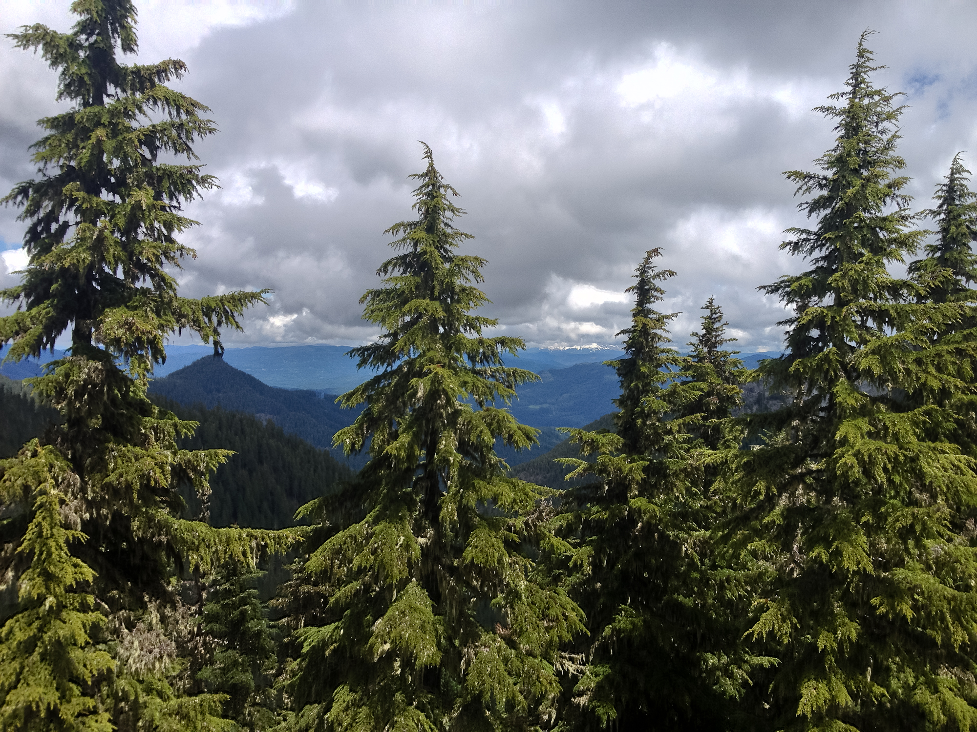 View of Mt Hood. Womp womp womp.