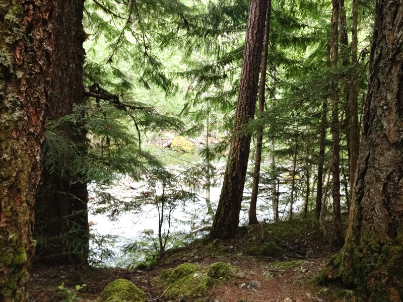 The only photo of the creek I took unfortunately. I spent way too much time fishing and basking in the sun to take photos.