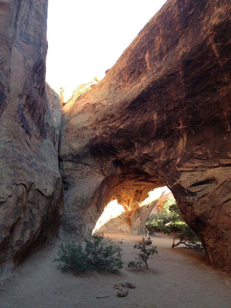 Navajo Arch