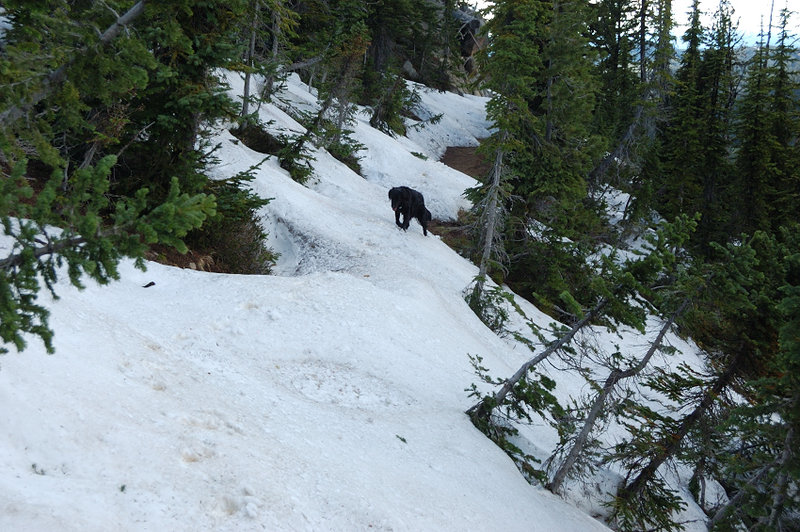 The next mile or so is partly buried in snow; after that the trail is almost all clear