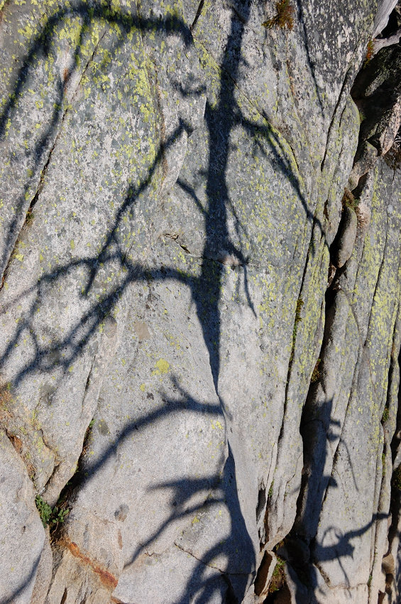 Rock shade art