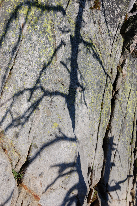 Rock shade art
