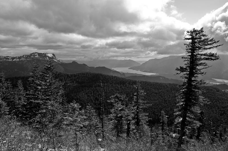 the mighty Columbia