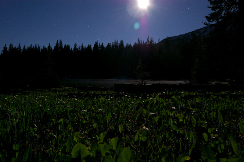 My attempt at night photography