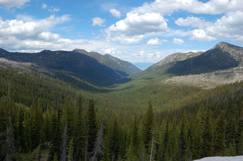 View from the saddle