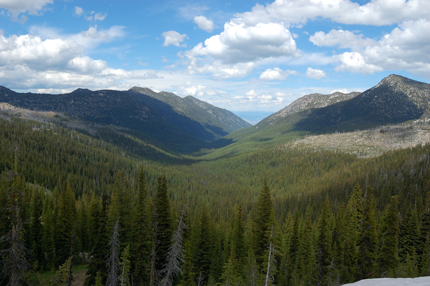 View from the saddle
