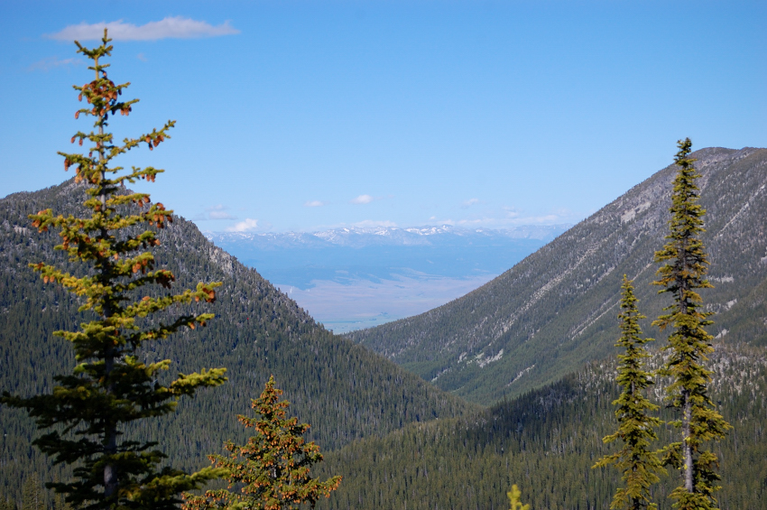 View east to Wallowas