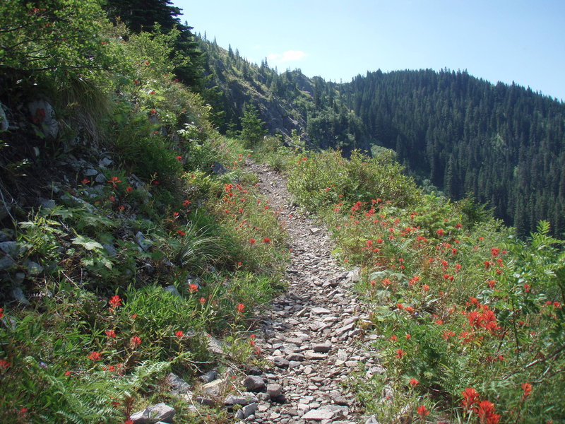 Bluff Mountain Trail