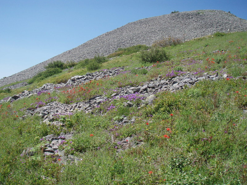 Rock Garden at base of LB