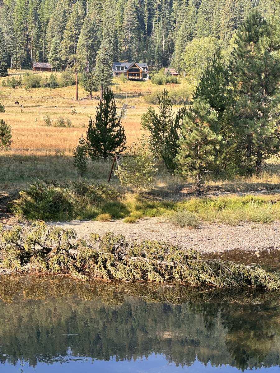 Photo from Minam River Lodge
