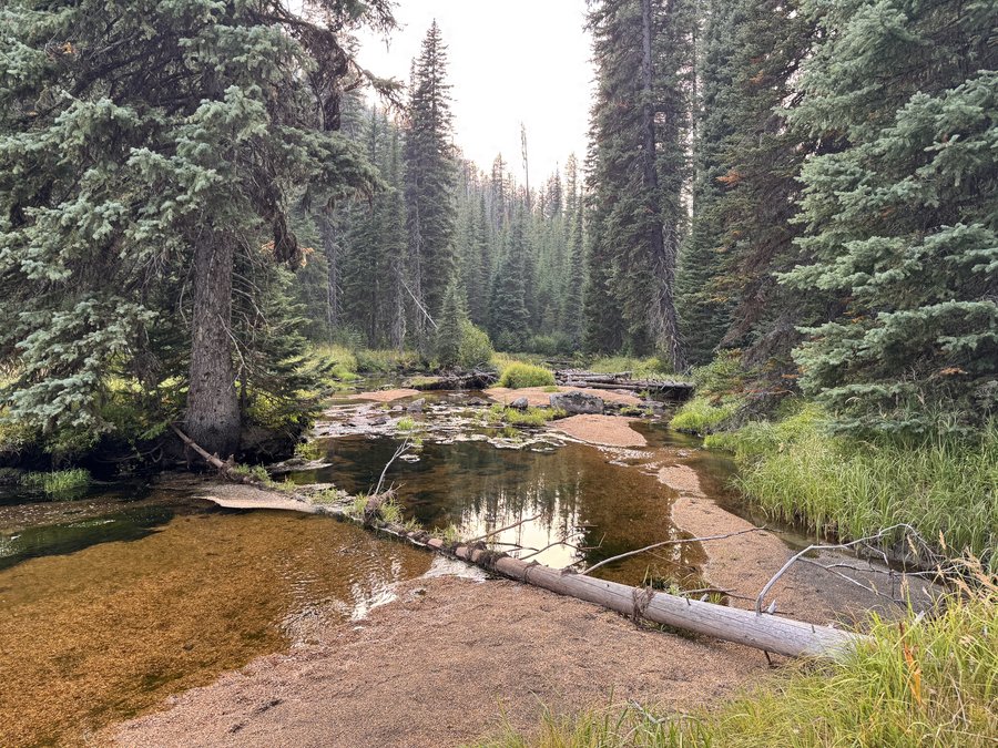 Photo from Minam River Lodge to Two Pan