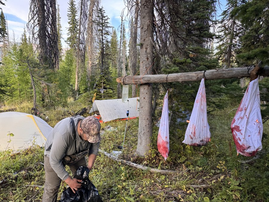 Photo from Wallowas elk hunt