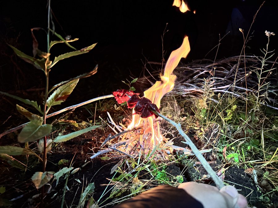 Photo from Wallowas elk hunt