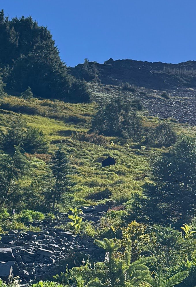 Photo from ONP Marmoteers